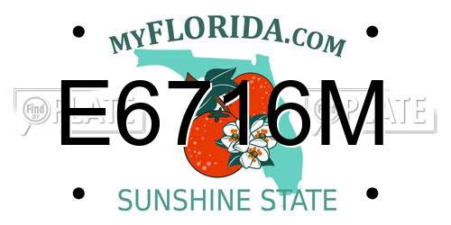 E6716M Florida License Plate