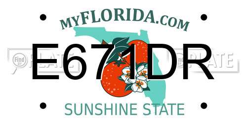 E671DR Florida License Plate