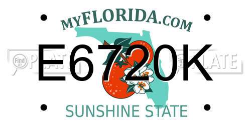 E6720K Florida License Plate