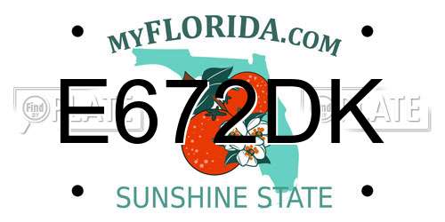 E672DK Florida License Plate