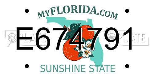 E674791 Florida License Plate