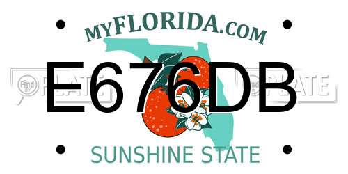 E676DB Florida License Plate