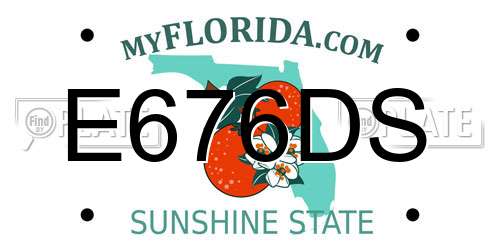 E676DS Florida License Plate