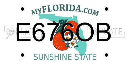 E676OB Florida License Plate