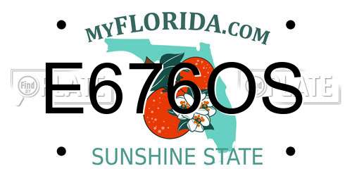 E676OS Florida License Plate