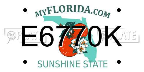 E6770K Florida License Plate