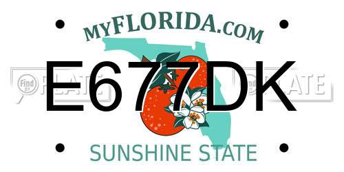 E677DK Florida License Plate