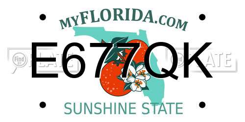 E677QK Florida License Plate