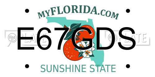E67GDS Florida License Plate