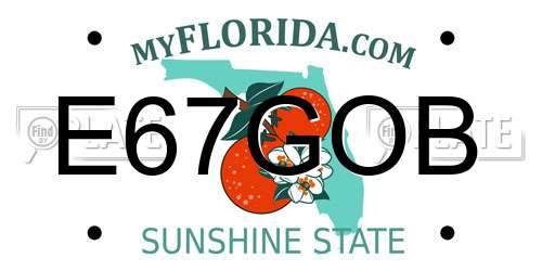 E67GOB Florida License Plate