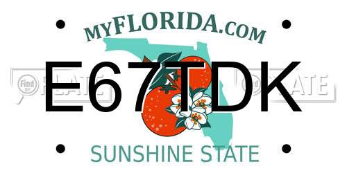 E67TDK Florida License Plate