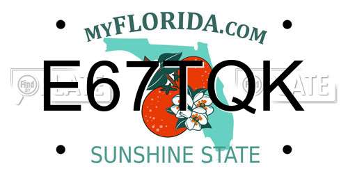 E67TQK Florida License Plate