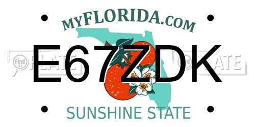 E67ZDK Florida License Plate