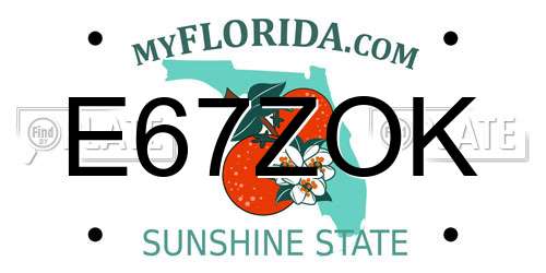E67ZOK Florida License Plate