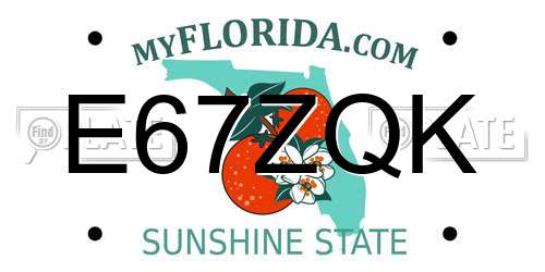 E67ZQK Florida License Plate