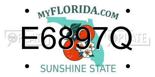 E6897Q Florida License Plate
