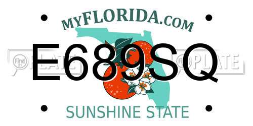 E689SQ Florida License Plate