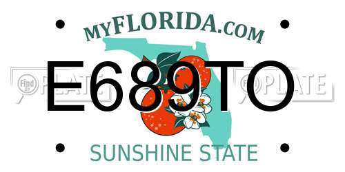 E689TO Florida License Plate