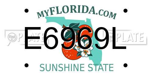 E6969L Florida License Plate