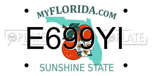 E699YI Florida License Plate