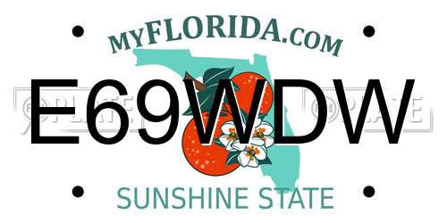 E69WDW Florida License Plate