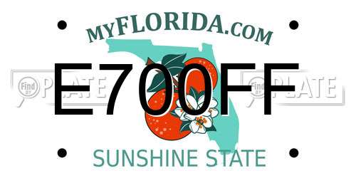 E700FF Florida License Plate
