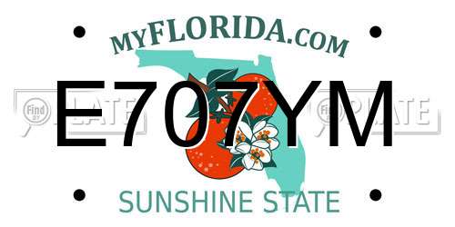 E707YM Florida License Plate