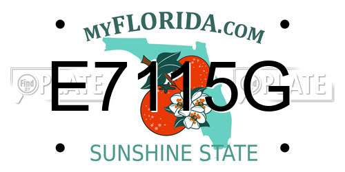 E7115G Florida License Plate