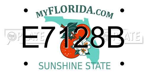 E7128B Florida License Plate