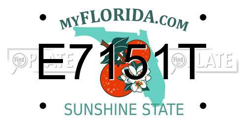 E7151T Florida License Plate