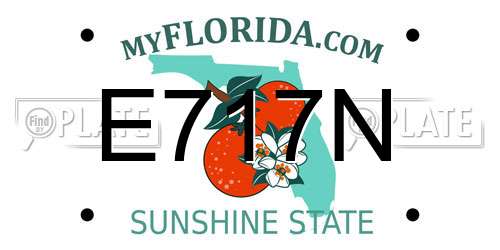 E717N Florida License Plate