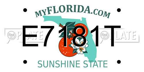 E7181T Florida License Plate