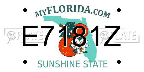 E7181Z Florida License Plate