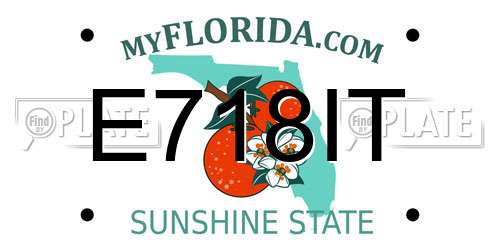 E718IT Florida License Plate
