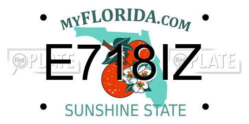E718IZ Florida License Plate