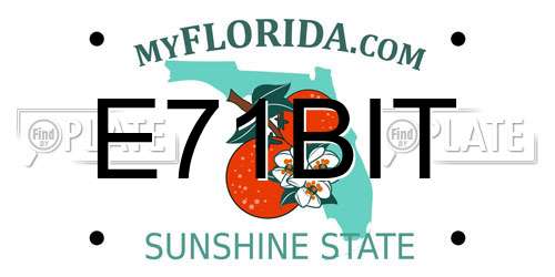 E71BIT Florida License Plate