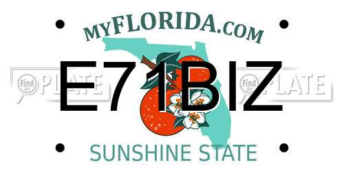 E71BIZ Florida License Plate