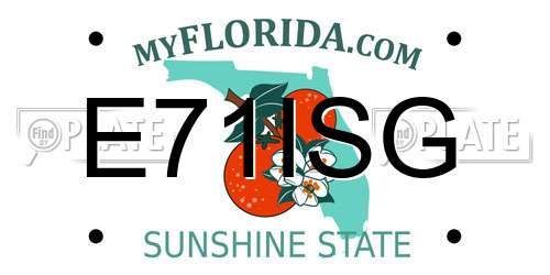 E71ISG Florida License Plate
