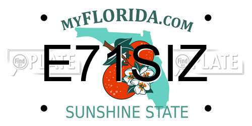 E71SIZ Florida License Plate