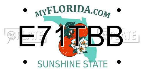 E71TBB Florida License Plate