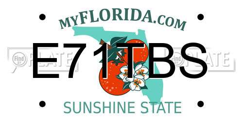 E71TBS Florida License Plate