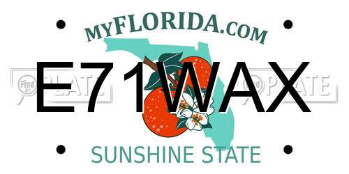 E71WAX Florida License Plate