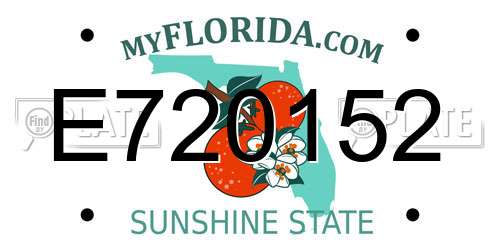 E720152 Florida License Plate