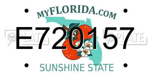 E720157 Florida License Plate