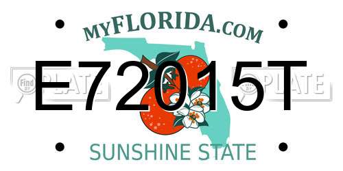 E72015T Florida License Plate