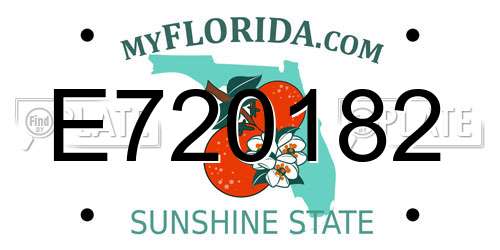 E720182 Florida License Plate