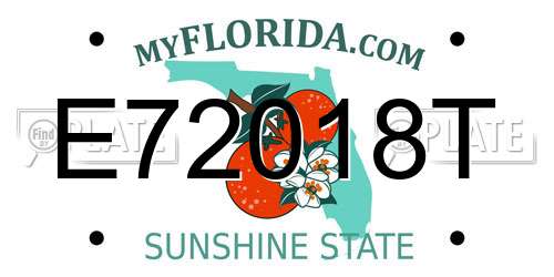 E72018T Florida License Plate