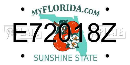 E72018Z Florida License Plate
