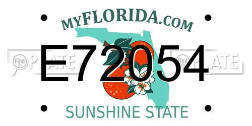 E72054 Florida License Plate