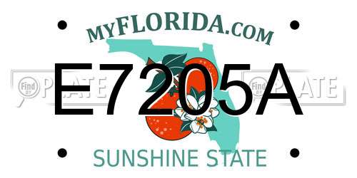 E7205A Florida License Plate